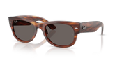 MEGA WAYFARER II