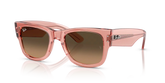MEGA WAYFARER