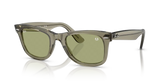 RAY-BAN STAR WARS™ – MASTER YODA WAYFARER