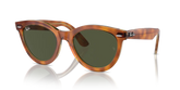 WAYFARER WAY WOMEN'S DAY LIMITED