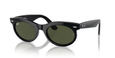 WAYFARER OVAL