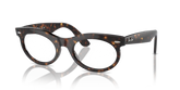 WAYFARER OVAL TRANSITIONS®