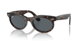 WAYFARER OVAL