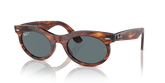 WAYFARER OVAL