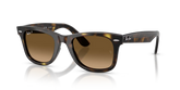 WAYFARER EASE