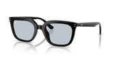 RB4339D