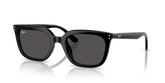 RB4439D