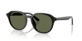 RB4459D