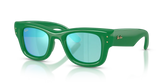WAYFARER PUFFER SPECIAL COLLECTION