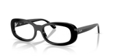 RB2221V OPTICS