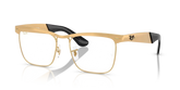 WAYFARER DELUXE OPTICS