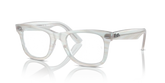 WAYFARER EASE OPTICS CHANGE