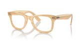 WAYFARER EASE OPTICS CHANGE