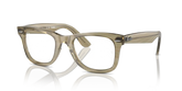 ORIGINAL WAYFARER OPTICS CHANGE