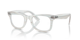 ORIGINAL WAYFARER OPTICS CHANGE