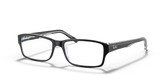 RB5169 OPTICS
