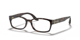 RB5198 OPTICS