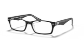 RB5206 OPTICS