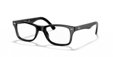 RB5228 OPTICS