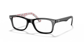 RB5228 OPTICS