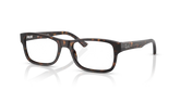 RB5268 OPTICS