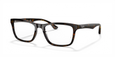 RB5279 OPTICS