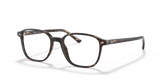LEONARD OPTICS