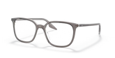 RB5362 OPTICS