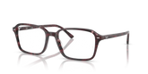 RAIMOND OPTICS