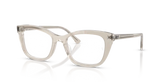 RB5433 OPTICS CHANGE