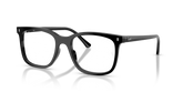 RB5446 OPTICS