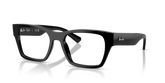 RB5448 OPTICS