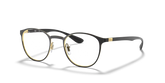 RB6355 OPTICS