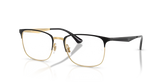 RB6421 OPTICS