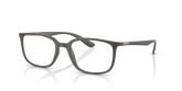RB7208 OPTICS