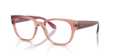 RB7210 OPTICS