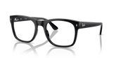 RB7228 OPTICS