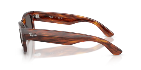 MEGA WAYFARER II