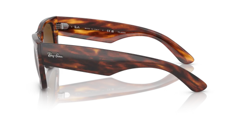 MEGA WAYFARER