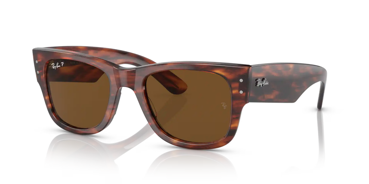 MEGA WAYFARER