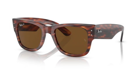 MEGA WAYFARER