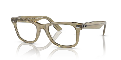 ORIGINAL WAYFARER CHANGE TRANSITIONS®
