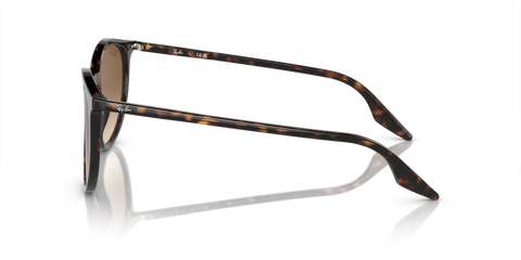 RB2204