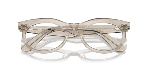 WAYFARER OVAL CHANGE TRANSITIONS®