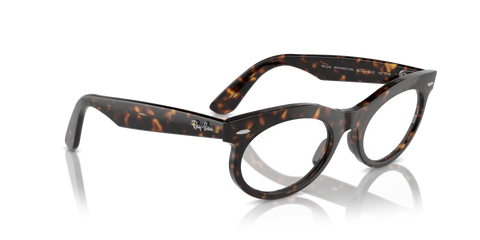 WAYFARER OVAL TRANSITIONS®