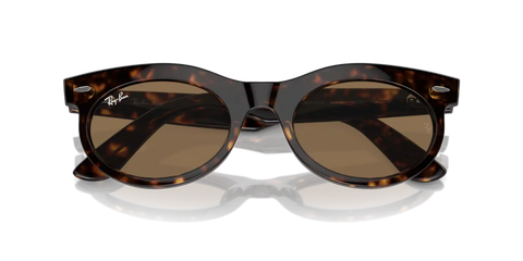 WAYFARER OVAL TRANSITIONS®