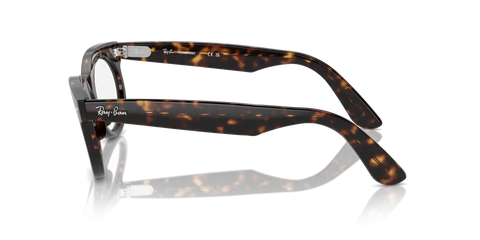 WAYFARER OVAL TRANSITIONS®