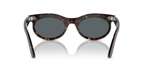 WAYFARER OVAL