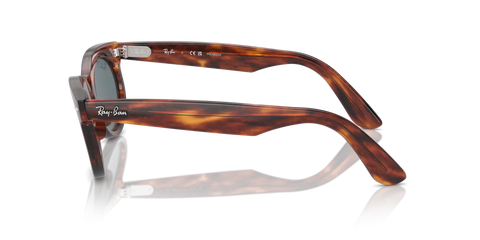 WAYFARER OVAL