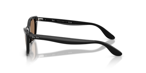 LADY BURBANK POLARIZED+ LENSES